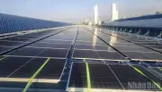 Hòa Phát Dung Quất đầu tư gần 600 tỷ đồng cho dự án điện mặt trời áp mái lớn nhất Việt Nam