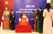 Hải Phòng công bố kết quả bầu cử đại biểu HĐND thành phố nhiệm kỳ 2026-2031
