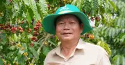 Hành Trình Chuẩn Hóa GlobalGAP: Cà Phê Việt Vươn Tầm Quốc Tế Từ Vườn Nhà Chú Thanh