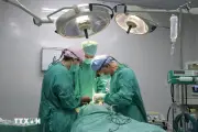 Hợp tác y tế Việt-Hàn 10 năm, đường sắt khắc phục sự cố đá rơi, Nghệ An xây trung tâm hành chính