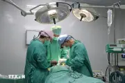 Huế phẫu thuật miễn phí cho trẻ dị tật hở môi, vòm miệng hoàn cảnh khó khăn