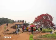 Điện Biên Phát Huy Giá Trị Di Tích Chiến Trường Gắn Với Du Lịch