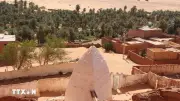 Khám Phá Cuộc Sống Độc Đáo Trên Ốc Đảo Giữa Sa Mạc Sahara