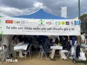 Lễ Hội Việt Nam 2026 Tại Osaka: Kết Nối Cộng Đồng Và Quảng Bá Văn Hóa