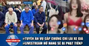 Livestream hở hang phạt đến 20 triệu, vụ cấp chứng chỉ lái xe giả cho 16.000 người bị tuyên án