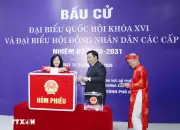 Lãnh đạo Đảng, Nhà nước, MTTQ Việt Nam thực hiện quyền công dân tại các điểm bầu cử ở Hà Nội