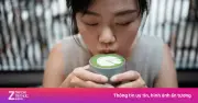 Matcha - Thức uống thịnh hành có thực sự gây thiếu máu?