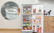 Mẹo tiết kiệm tiền điện: Đặt thứ này qua đêm trong tủ lạnh mỗi ngày