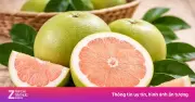 Ăn Bưởi Mỗi Ngày: Lợi Ích Sức Khỏe Và Cảnh Báo Quan Trọng Cần Biết