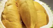 Nghịch lý giá sầu riêng: Musang King rớt giá tại vườn, giá bán lẻ vẫn cao ngất