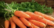 Nghiên cứu mới: Ăn cà rốt hàng tuần giảm 20% nguy cơ ung thư