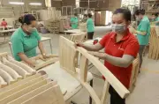 Ngành Gỗ Việt Nam: Cơ Hội Chinh Phục Thị Trường Toàn Cầu Qua Thương Mại Điện Tử