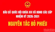 Nguyên Tắc Bỏ Phiếu Bầu Đại Biểu Quốc Hội Và Hội Đồng Nhân Dân Các Cấp