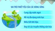 Ngày Quốc tế Hành động vì các Dòng sông: 143 Bảo vệ Sông Ngòi, Bảo vệ Con Người