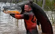 Nhà sinh vật học bắt cá pirarucu khổng lồ 2,2 mét, 100 kg ở Brazil