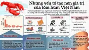 Những yếu tố tạo nên giá trị đặc biệt cho tôm hùm Việt Nam