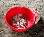 Đà Nẵng: 13 học sinh nhập viện nghi ngộ độc sau khi uống trà sữa