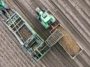 Nông dân trồng khoai tây ở EU nếm trái đắng vì dư cung, giá sụt giảm mạnh