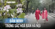 Nàng thơ xúng xính chụp hình cùng hoa ban trắng tinh khôi tại Hà Nội