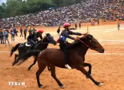 Nét Riêng Độc Đáo Của Dưa Ngựa Vùng Cao Thu Hút Du Khách