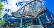 Orchard Road Singapore: Tuyến Phố Đắt Đỏ Nhất Đông Nam Á Với Giá Thuê 5.100 USD/m²/Năm