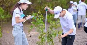 Panasonic Việt Nam trồng thêm 9.000 cây tại Hưng Yên, hướng tới mục tiêu phủ xanh toàn quốc
