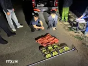 Phá đường dây vận chuyển ma túy lớn từ biên giới Quảng Trị về đồng bằng