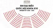 Phân tích cơ cấu đại biểu Quốc hội khóa XVI: Dữ liệu chi tiết từ 63 tỉnh thành
