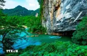 Phong Nha - Kẻ Bàng: Kho báu sinh học chưa được khám phá giữa đại ngàn Trường Sơn