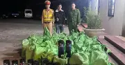 Quảng Ninh liên tiếp triệt phá các vụ vận chuyển khí cười trái phép
