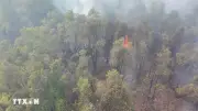 Quảng Trị: Bộ đội Biên phòng phối hợp dập tắt cháy rừng kịp thời
