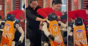 Robot Haidilao 'nổi loạn' đập phá bát đĩa, nhân viên vật lộn khống chế giữa nhà hàng đông khách