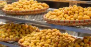 Sau cuộc nhậu, nhiều người uống nước mỡ giảm nôn nao: Chuyên gia cảnh báo nguy cơ