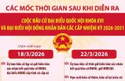 Sau Ngày Bầu Cử: Các Mốc Thời Gian Quan Trọng Để Hoàn Tất Quy Trình