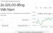 Tỷ giá USD/VND hôm nay 23/3: Ngân hàng và chợ đen điều chỉnh ra sao?