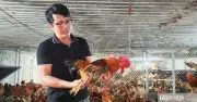 Từ kỹ sư lâm nghiệp đến ông chủ trang trại gà giống nổi tiếng ở Quảng Trị