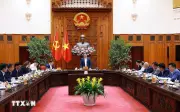 Thủ tướng chỉ đạo cuộc họp quan trọng về bảo đảm an ninh năng lượng quốc gia