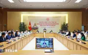 Thủ tướng: Chống khai thác IUU, không để cá nhân làm ảnh hưởng nỗ lực chung