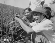 Thủ tướng Phạm Văn Đồng: Người đặt nền móng cho sự nghiệp đổi mới đất nước