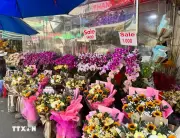 Thị trường hoa tươi sôi động dịp 8/3, hoa hồng tăng giá mạnh tại TP.HCM