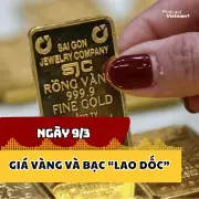 Thị trường kim loại quý chao đảo khi giá vàng và bạc lao dốc mạnh