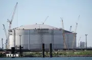 Thị trường LNG toàn cầu đối mặt nguy cơ sốc lớn hơn cả dầu mỏ