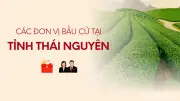 Thái Nguyên: Công bố danh sách các đơn vị bầu cử đại biểu Quốc hội khóa mới