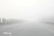 Thời tiết ngày 11/3: Bắc Bộ trời rét, nhiều nơi sáng sớm có sương mù