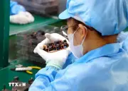 Tháo Gỡ Rào Cản Thể Chế: Đòn Bẩy Cho Kinh Tế Tầm Thấp và Công Nghệ Mới