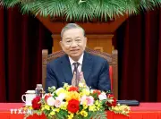 Tổng Bí thư Tô Lâm tiếp lãnh đạo hơn 40 tập đoàn, doanh nghiệp quốc tế