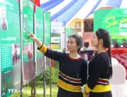 Tăng mức phạt đối với hành vi vi phạm trong lĩnh vực bình đẳng giới