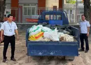 TP.HCM phát hiện và tiêu hủy 450kg gà chết không đảm bảo an toàn thực phẩm