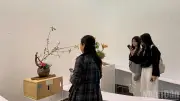 Triển lãm 'Gió Đông': Hành trình hồi sinh và cân bằng qua nghệ thuật Ikebana