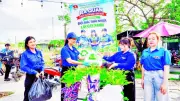 Tuổi Trẻ TP.HCM Năng Động Với Nhiều Hoạt Động Tình Nguyện Và Sáng Tạo
